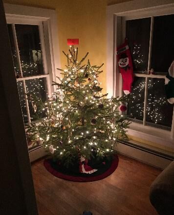 COMM_Christmas_tree.jpg