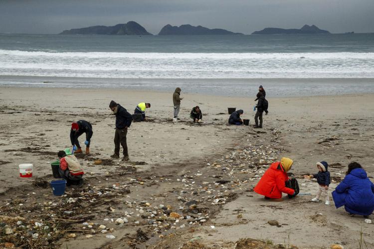 Spain Plastic Pollution